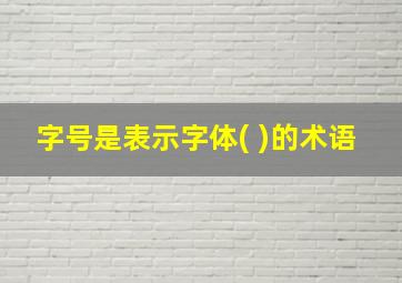 字号是表示字体( )的术语